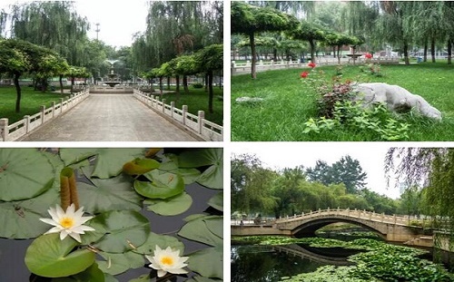石家莊鐵路中專學(xué)校哪個口碑好？