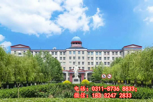 初中起點學(xué)醫(yī)和高中起點學(xué)醫(yī)升入大學(xué)后有什么區(qū)別？